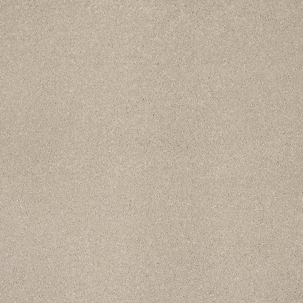 Latte Sensation Original 60oz Carpet by Cormar