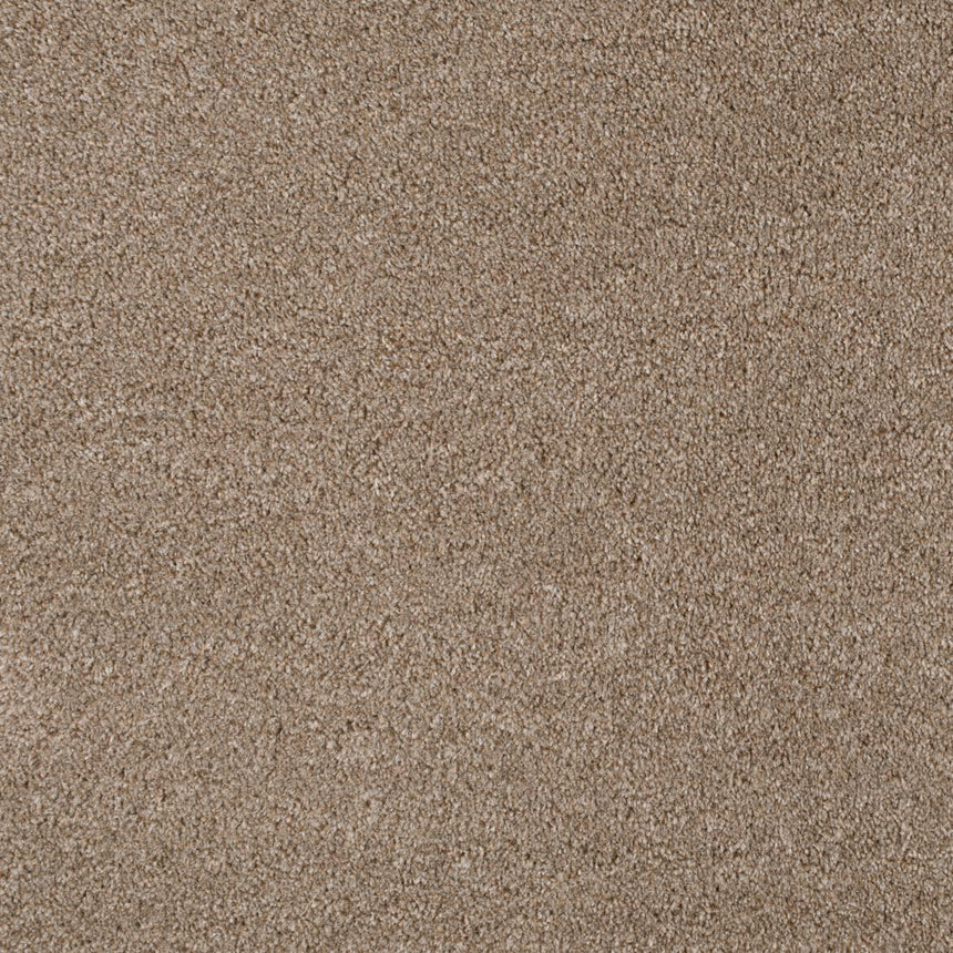 Light Brown 194 Revolution Carpet 2m x 4m Remnant