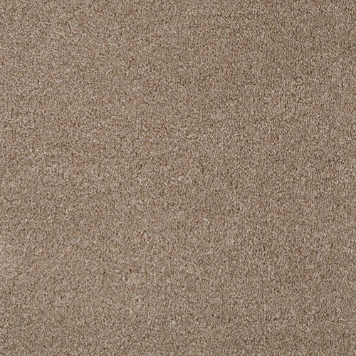 Light Brown 194 Revolution Carpet 2m x 4m Remnant