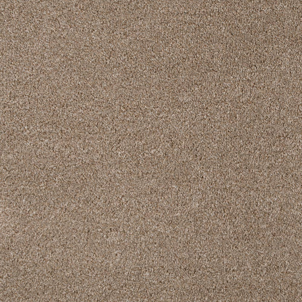 Light Brown 194 Revolution Carpet 2m x 4m Remnant