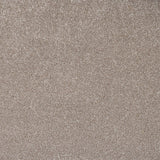 Light Brown Aspire Twist Carpet