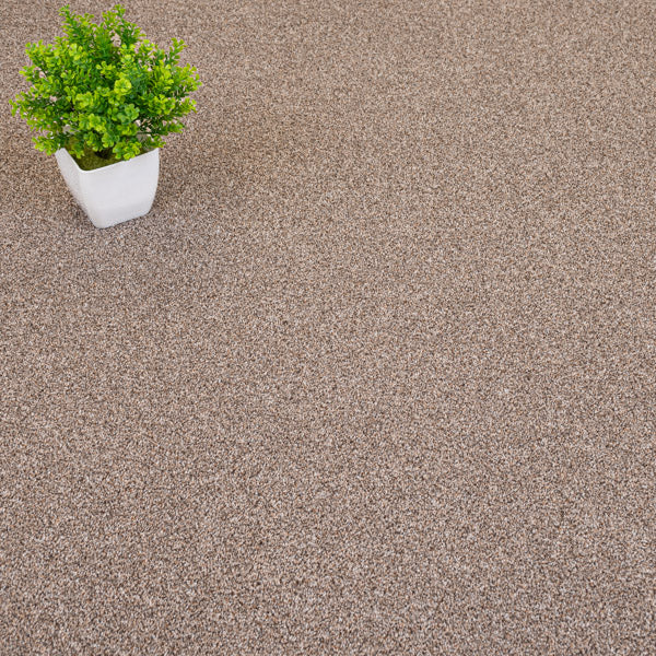 Light Brown Versailles Twist Carpet