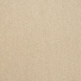 Linen Wash 10 Stainfree Pure Elegance Carpet by Abingdon