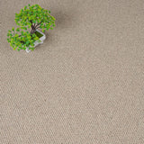 Llama Malabar Two Fold Wool Carpet by Cormar