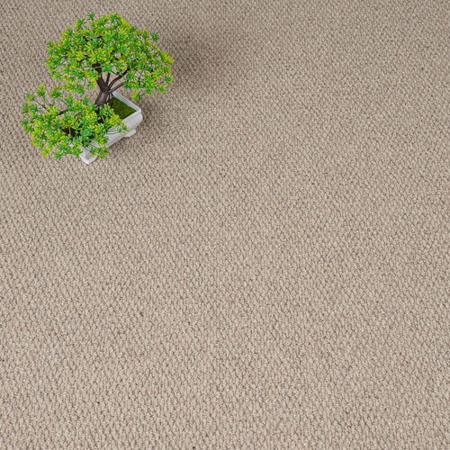 Llama Malabar Two Fold Wool Carpet by Cormar