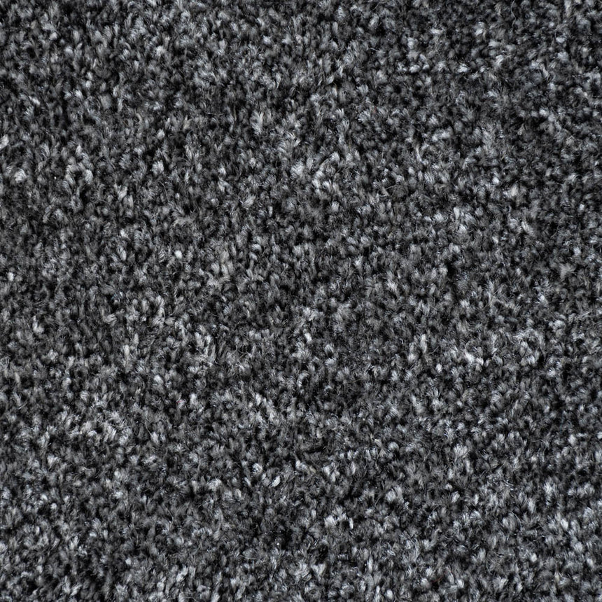 Anthracite Louisiana Saxony Carpet