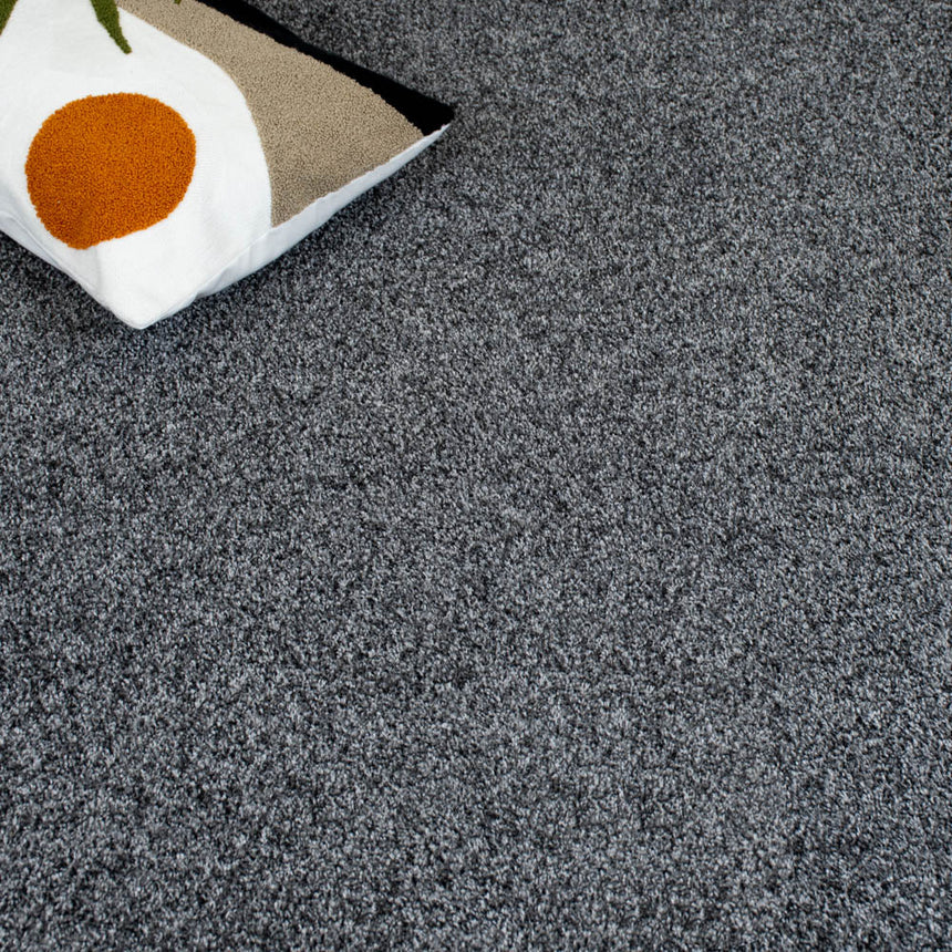 Anthracite Louisiana Saxony Carpet