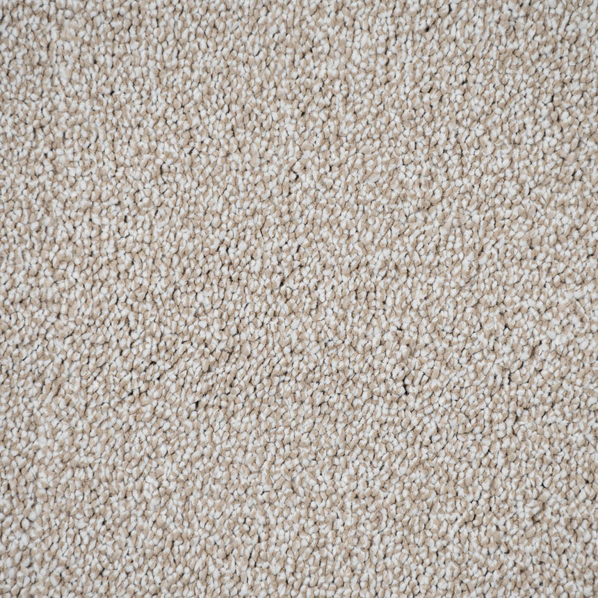 Macadamia Sensation Heathers 60oz Carpet by Cormar