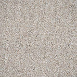 Macadamia Sensation Heathers 60oz Carpet by Cormar