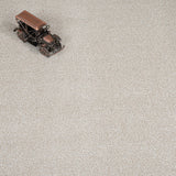 Macadamia Sensation Heathers 60oz Carpet by Cormar