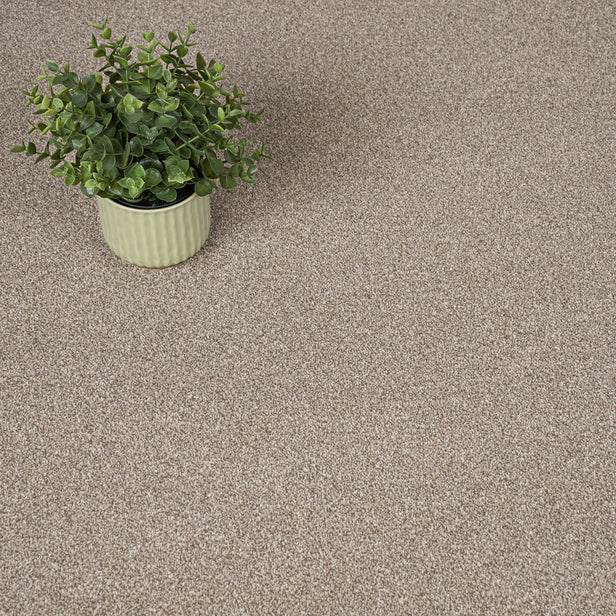 Manhattan Taupe Apollo Plus Carpet by Cormar