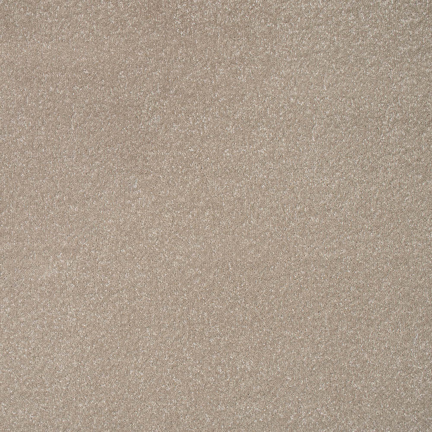 Manor House Stainfree Ultra Carpet by Abingdon