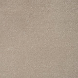 Manor House Stainfree Ultra Carpet by Abingdon