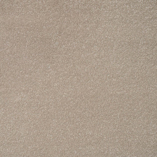 Manor House Stainfree Ultra Carpet by Abingdon