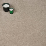 Manor House Stainfree Ultra Carpet by Abingdon