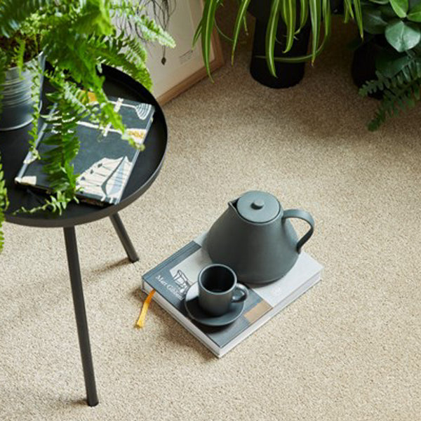 Marshmallow Trinity Twist Carpet by Cormar