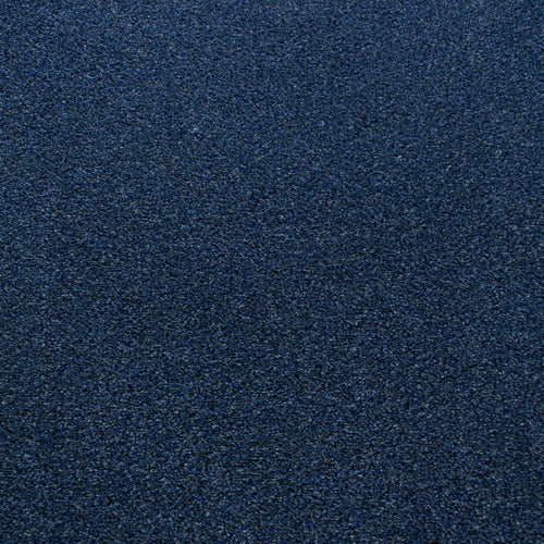 Midnight Blue 897 Dublin Heathers Carpet 1.97m x 5m Remnant