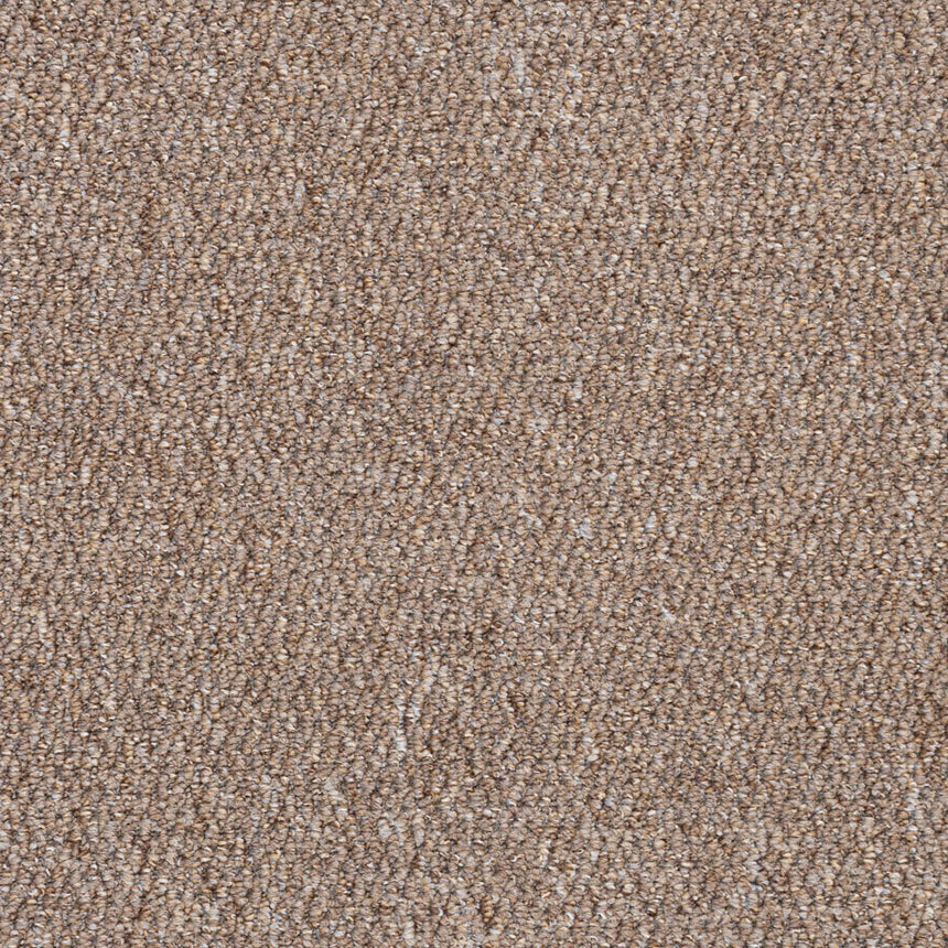 Mink Appleton Loop Feltback Carpet