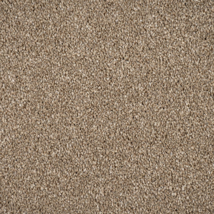 Mink Brown Moxie Saxony Carpet