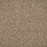 Mink Brown Moxie Saxony Carpet