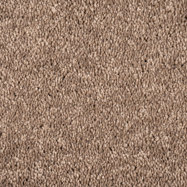 Mocha Maverick Saxony Carpet