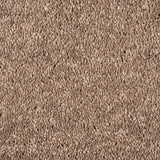 Mocha Maverick Saxony Carpet