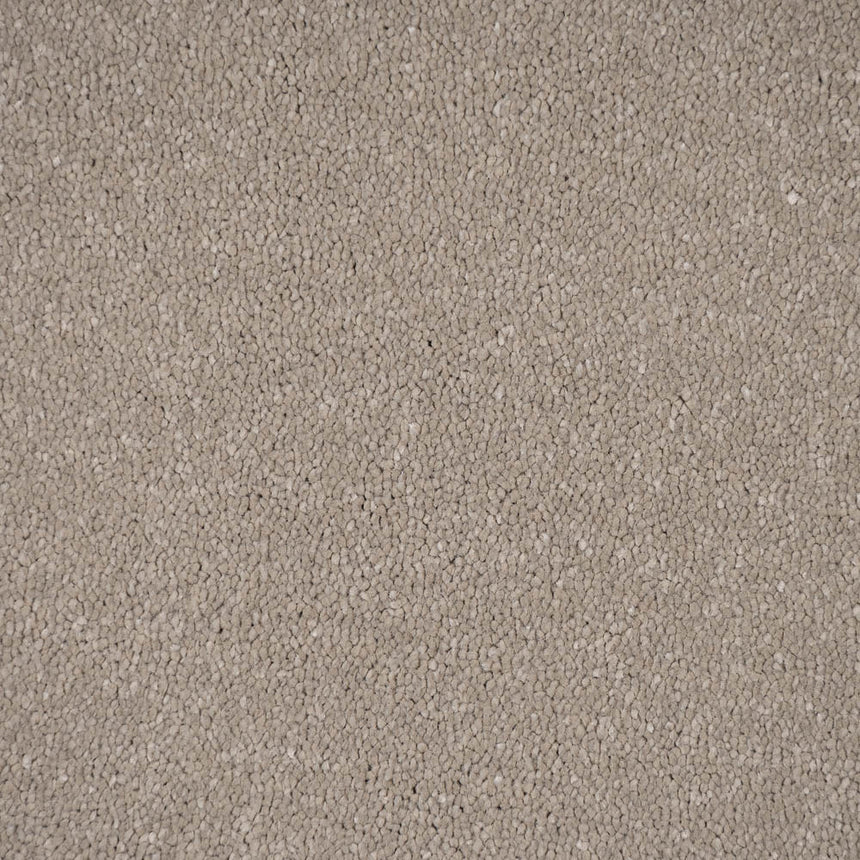 Moon Cloud 08 Stainfree Pure Elegance Carpet by Abingdon