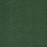 Moss Stainfree Ultra Carpet by Abingdon