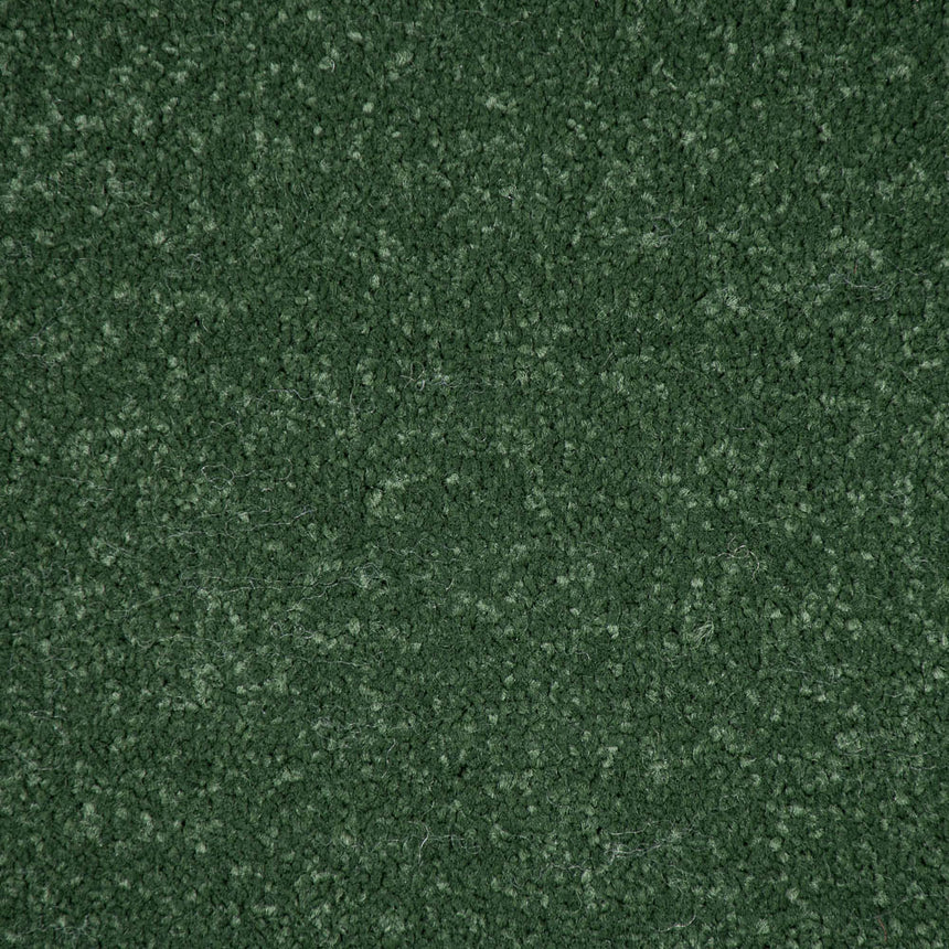 Moss Stainfree Ultra Carpet by Abingdon