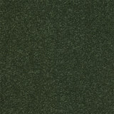 Stainfree Ultra Carpet by Abingdon