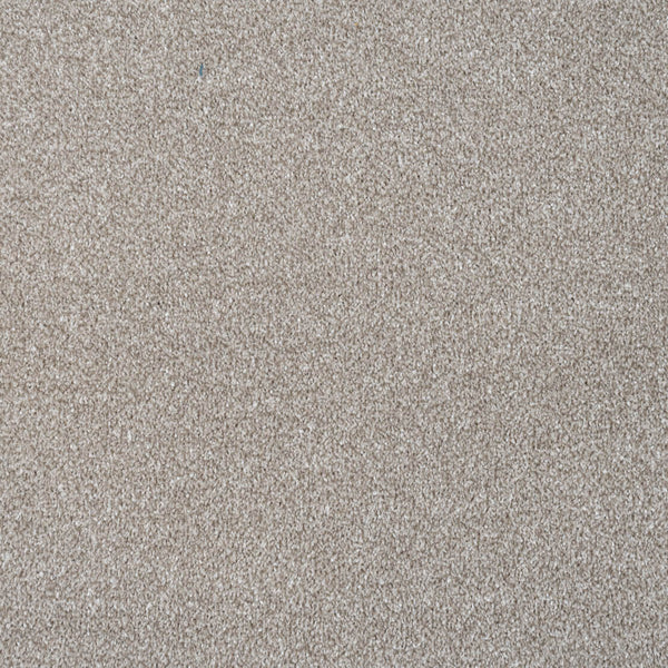 Mushroom Grey Selene Saxony Carpet