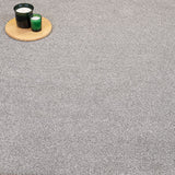 Nickel Florence Saxony Carpet Clearance