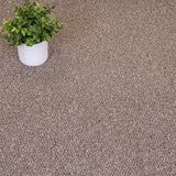 Oak Appleton Loop Feltback Carpet