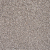 Oat Greige 91 Pisa Saxony Carpet