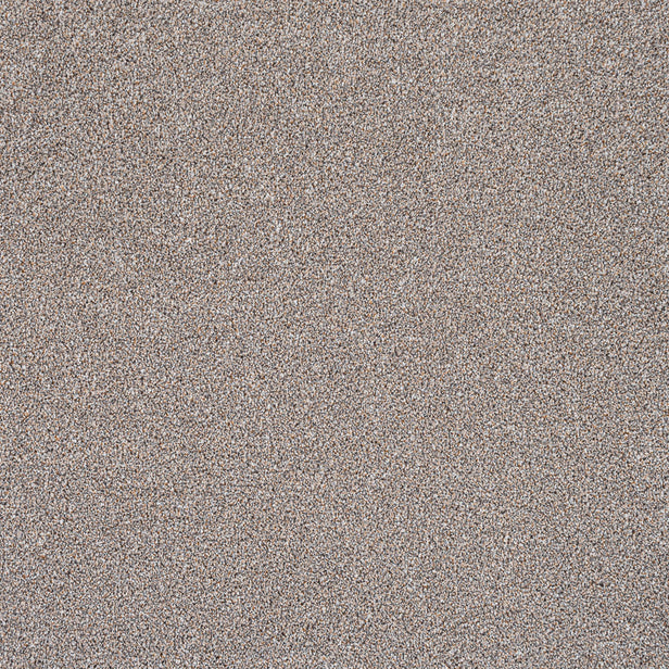 Oat Greige 91 Pisa Saxony Carpet