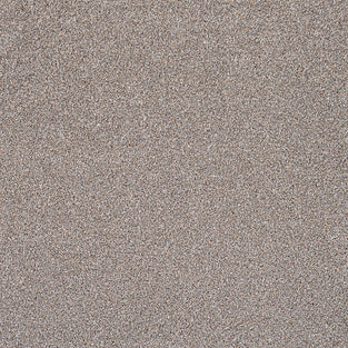 Oat Greige 91 Pisa Saxony Carpet