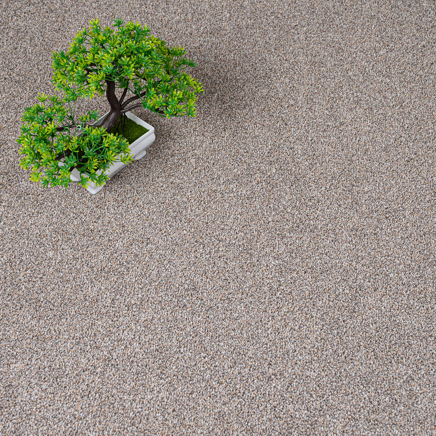 Oat Greige 91 Pisa Saxony Carpet