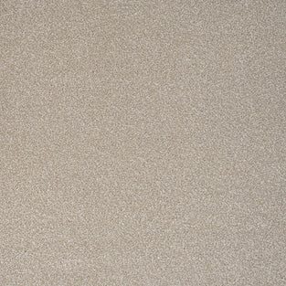 Oat Stainfree Ultra Carpet by Abingdon