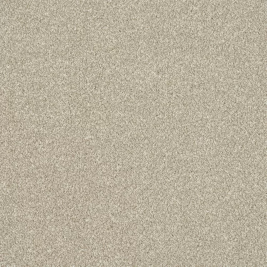 Stainfree Ultra Carpet by Abingdon