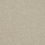 Stainfree Ultra Carpet by Abingdon