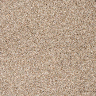 Oatmeal 33 StainGuard Harvest Heathers Supreme Carpet