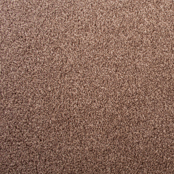 Parchment 90 Sacramento Classic Carpet 2.31m x 4m Remnant