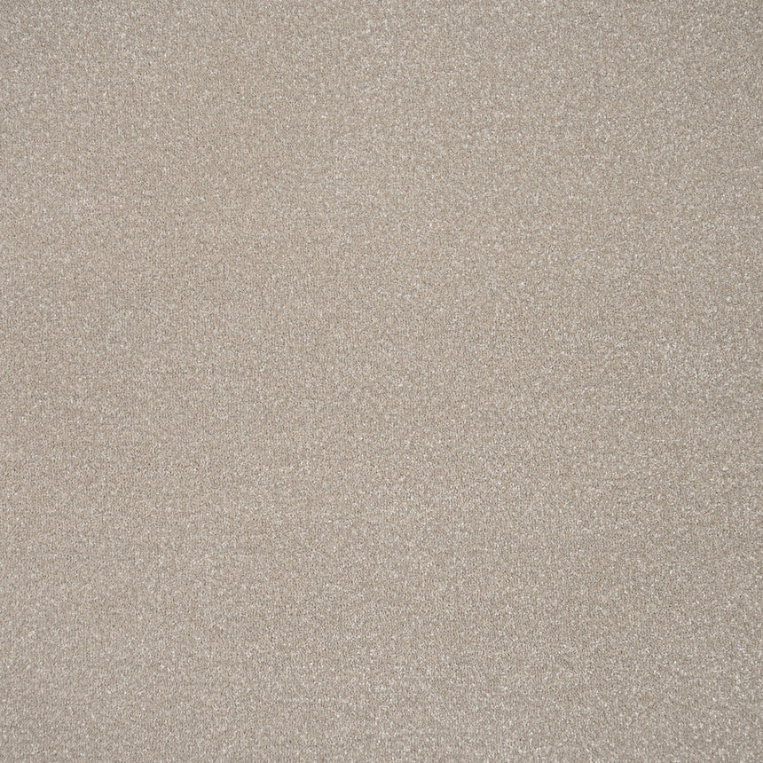 Stainfree Ultra Carpet by Abingdon