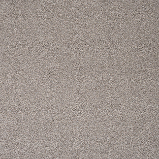 Pebble Greige 92 Pisa Saxony Carpet