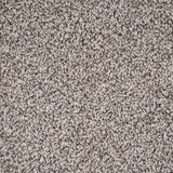 Pebble Greige 92 Pisa Saxony Carpet