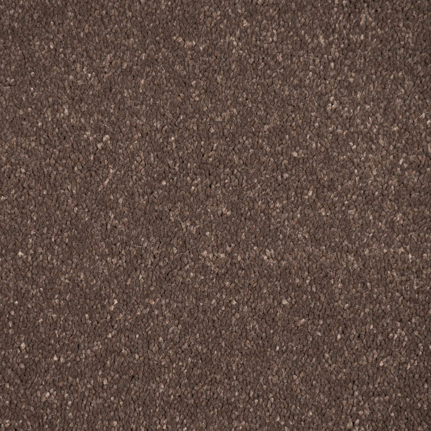 Pentland 16 Stainfree Pure Elegance Carpet by Abingdon