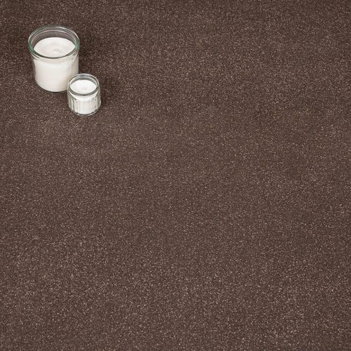 Pentland 16 Stainfree Pure Elegance Carpet by Abingdon