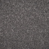 Pewter 175 Revolution Supreme Twist Carpet