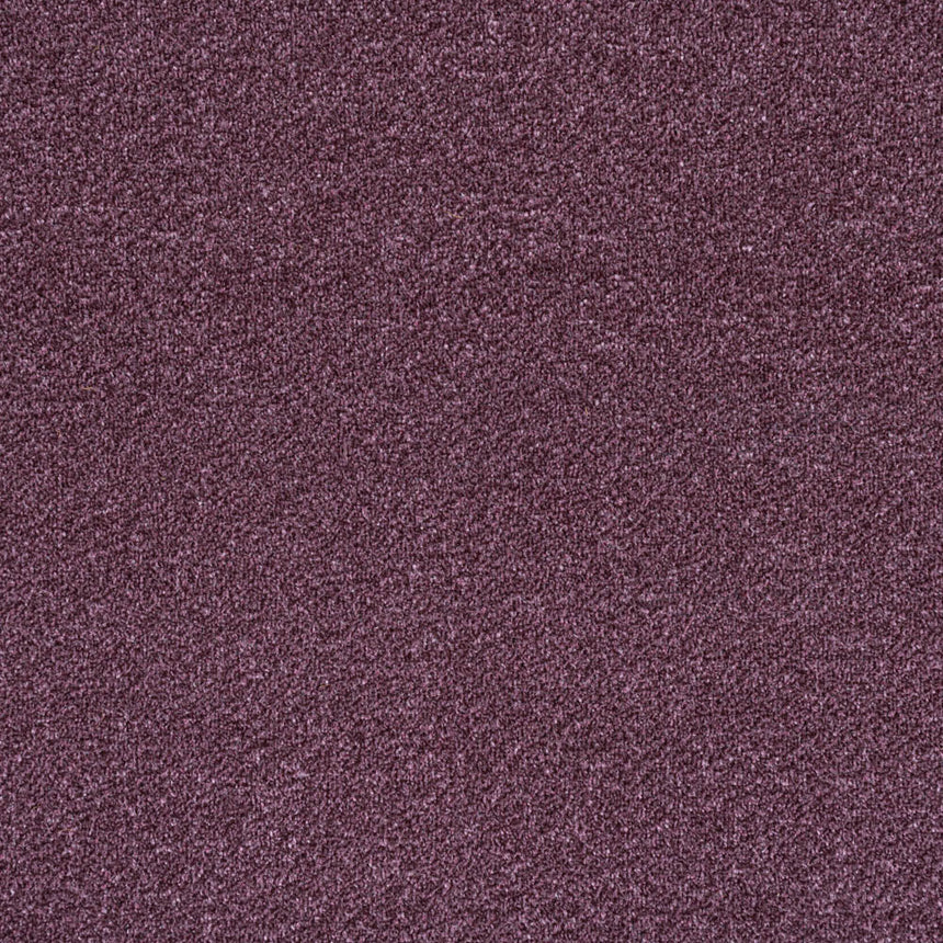 Plum 15 Revolution Heathers Carpet 4.94m x 5m Remnant