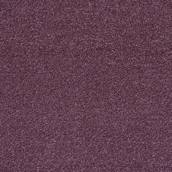 Plum 15 Revolution Heathers Carpet 4.94m x 5m Remnant